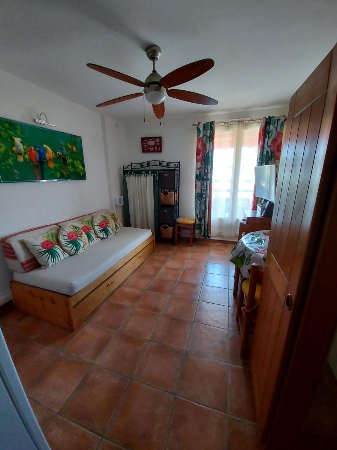 Apartament T2-Clim-Fibre-Garage 2,30 X 4,95 X 1,90 A La Faviere Bormes-les-Mimosas Zewnętrze zdjęcie